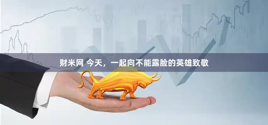 财米网 今天，一起向不能露脸的英雄致敬