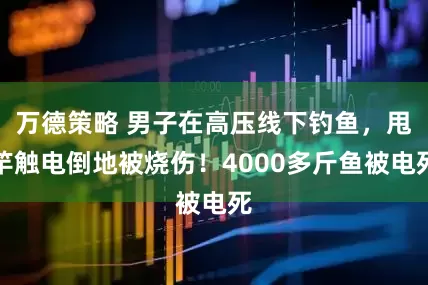 万德策略 男子在高压线下钓鱼，甩竿触电倒地被烧伤！4000多斤鱼被电死