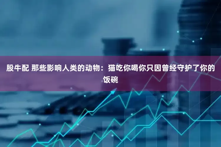 股牛配 那些影响人类的动物：猫吃你喝你只因曾经守护了你的饭碗
